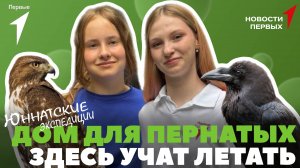 «Новости Первых»: Центр восстановления и адаптации птиц в Сокольниках | «Юннатские экспедиции»
