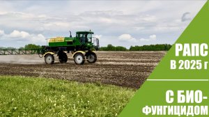 СЕЛЬСКОЕ ХОЗЯЙСТВО С БИОФУНГИЦИДАМИ // РАПС В 2025 ГОДУ // ИЮНЬ