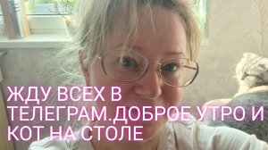 Кот хозяин в доме/ЖДУ всех в ТЕЛЕГРАМ