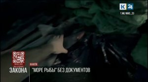 Шесть тонн незаконно добытой рыбы обнаружили в ангаре бизнесмена в Анапе