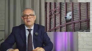 2.  ИНСТИНКТИВНЫЕ ПОТРЕБНОСТИ