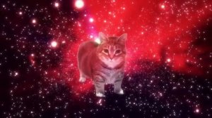 W&W - OIIA OIIA (Вращающийся кот) Спининг Летающий Кот Весёлый Котик Крутой Котик Крутится