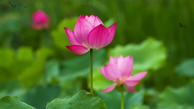 Самые благоприятные дни в мае 2025. Дни удачи в мае 2025. Бл смотреть онлайн