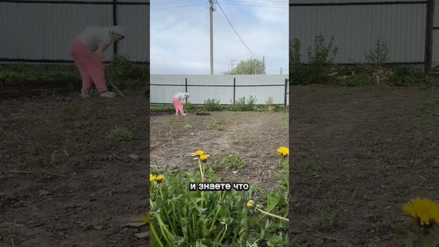 Поделитесь секретом #уралочка #огород #садоводничество