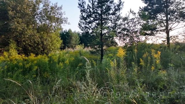 Запах предательства. Рассказ смотреть онлайн