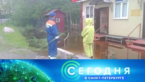 «Сегодня в Санкт-Петербурге»: 11 июня 2025 года