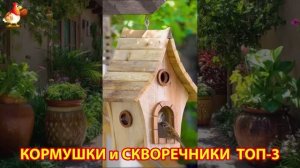 Кормушки и скворечники своими руками для птиц ТОП-3 (53) 🪚🪛🔨 Идеи для дачи и сада пошагово ❣️