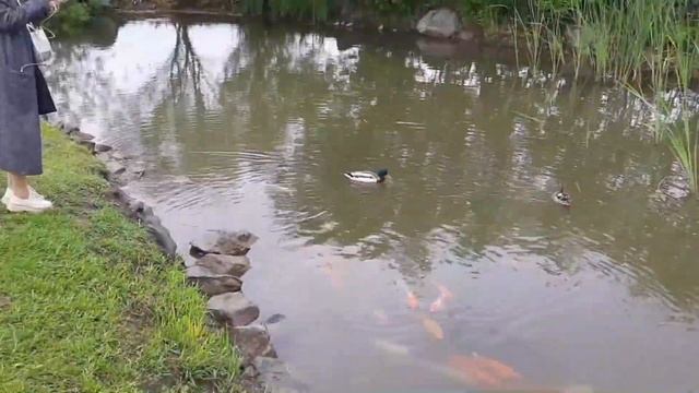 ВДЦ "Океан" глазами фотографа (2/2) смотреть онлайн