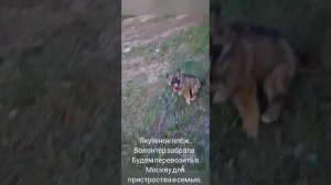 11-06-2025 якутенок ппбж