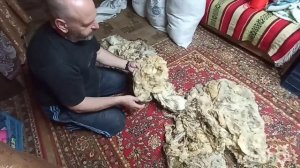 Талшинская шерсть.