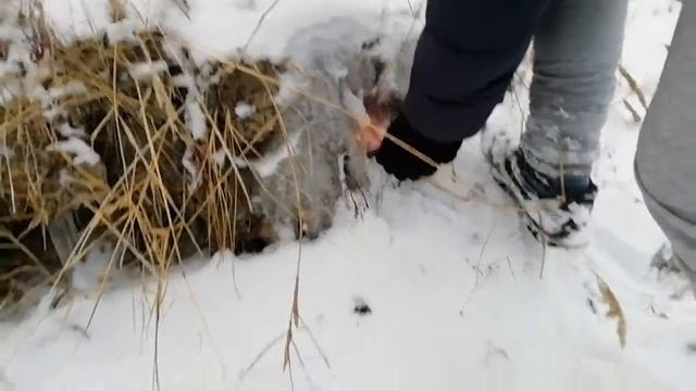 Корсар 4 во льду!💣💥❄️ смотреть онлайн