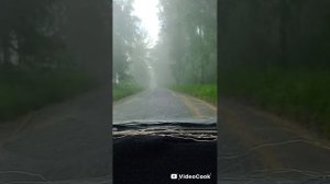дождь