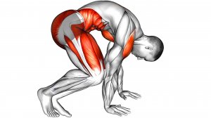 Избавьтесь от Жира на Животе ради шести кубиков пресса