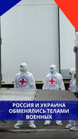 Свершилось! Украина таки приняла от России более 1200 тел погибших боевиков ВСУ