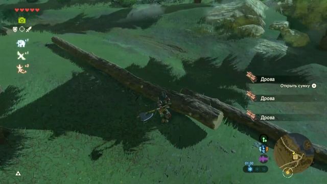 мой милый дом    прохождение The Legend of Zelda: Breath of the Wild на 100