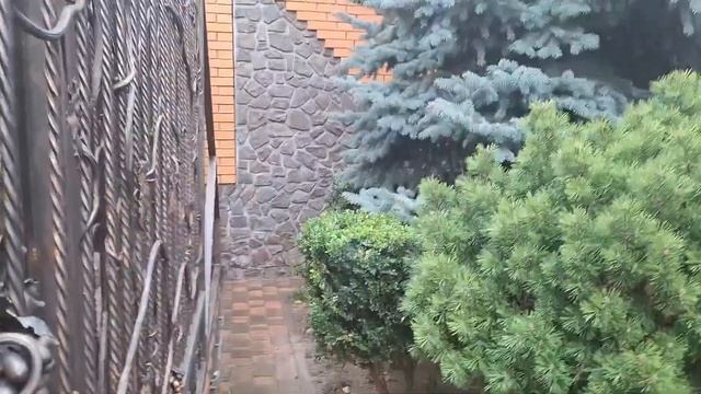 Растения против зомби:Новенькая небольшая посылка смотреть онлайн