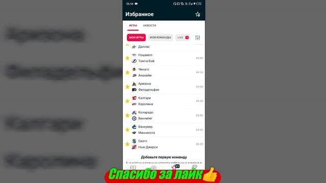 Калгари - Каролина / Ванкувер - Миннесота | Прогноз на м?