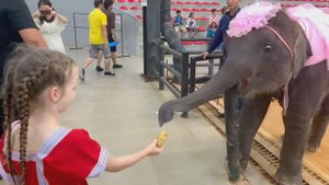 VLOG Nong Nooch !  СУПЕР СОФИ ОТ СТРАХА ЧУТЬ...