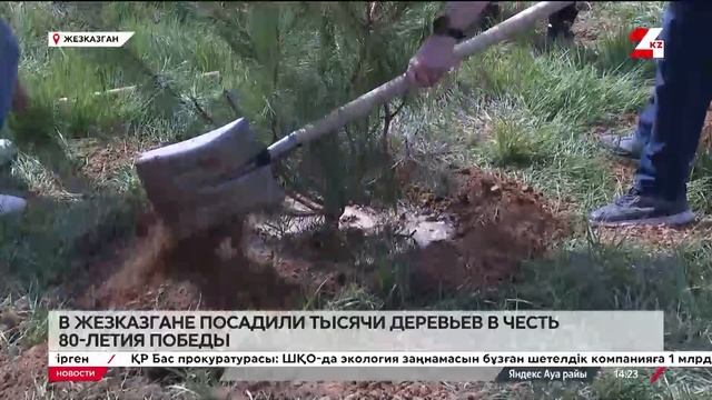 В Жезказгане посадили тысячу деревьев в честь 80-летия