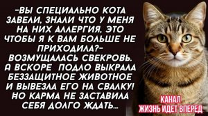 Свекровь  подло выкрала беззащитное животное и вывезла его на свалку! Но карма