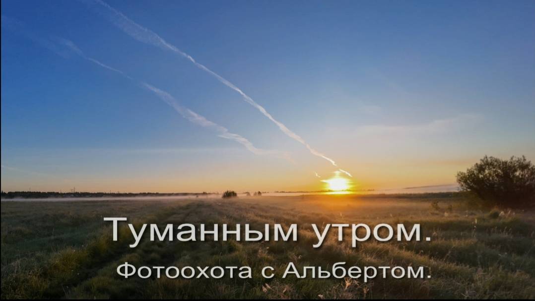 Фотоохота с Альбертом. Туманным утром. смотреть онлайн