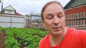 Век живи, век учись..