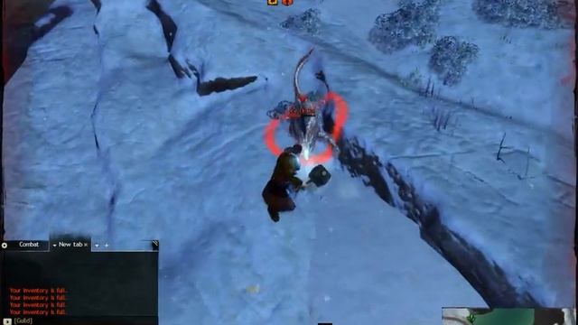 Gw2  Norn Warrior Разбуди зверя.avi