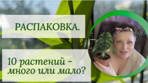 Распаковка 📦 из Череповца. 10 растений это много или мало?