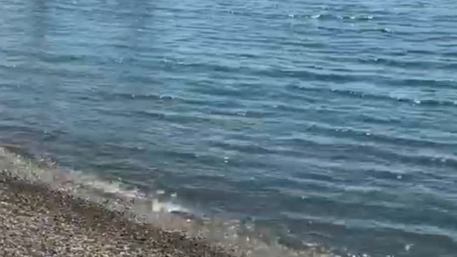 Сочи Адлер сегодня 11 июня 2025. Обстановка на пляже, Чёрное море и погода сейчас. Мазута нет, чисто