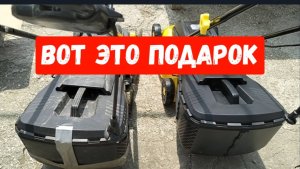 #36Подарок от старшего сына/Собираю черешню/Поспел весь горох/Опять обработки