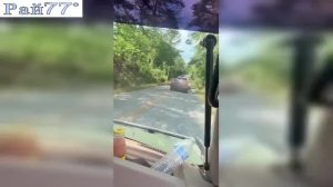 Владелец легковушки пережил наезд катка