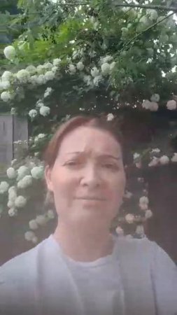 Эх, калина,калина...