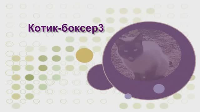 Котик-боксер и его семейство))