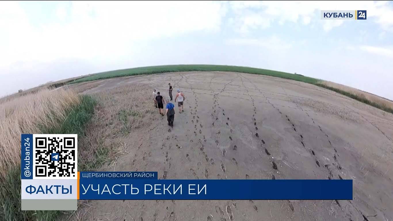 Обмелением Еи и гибелью рыб обеспокоены жители Щербиновского района