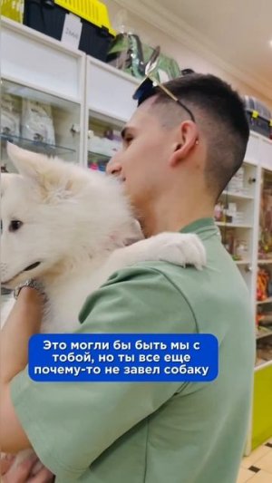Это могли бы быть мы с тобой, но ты все еще почему-то не завел собаку...