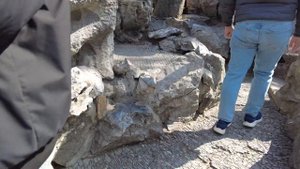 Прогулка по Сучжоу: как влюбиться в город за день