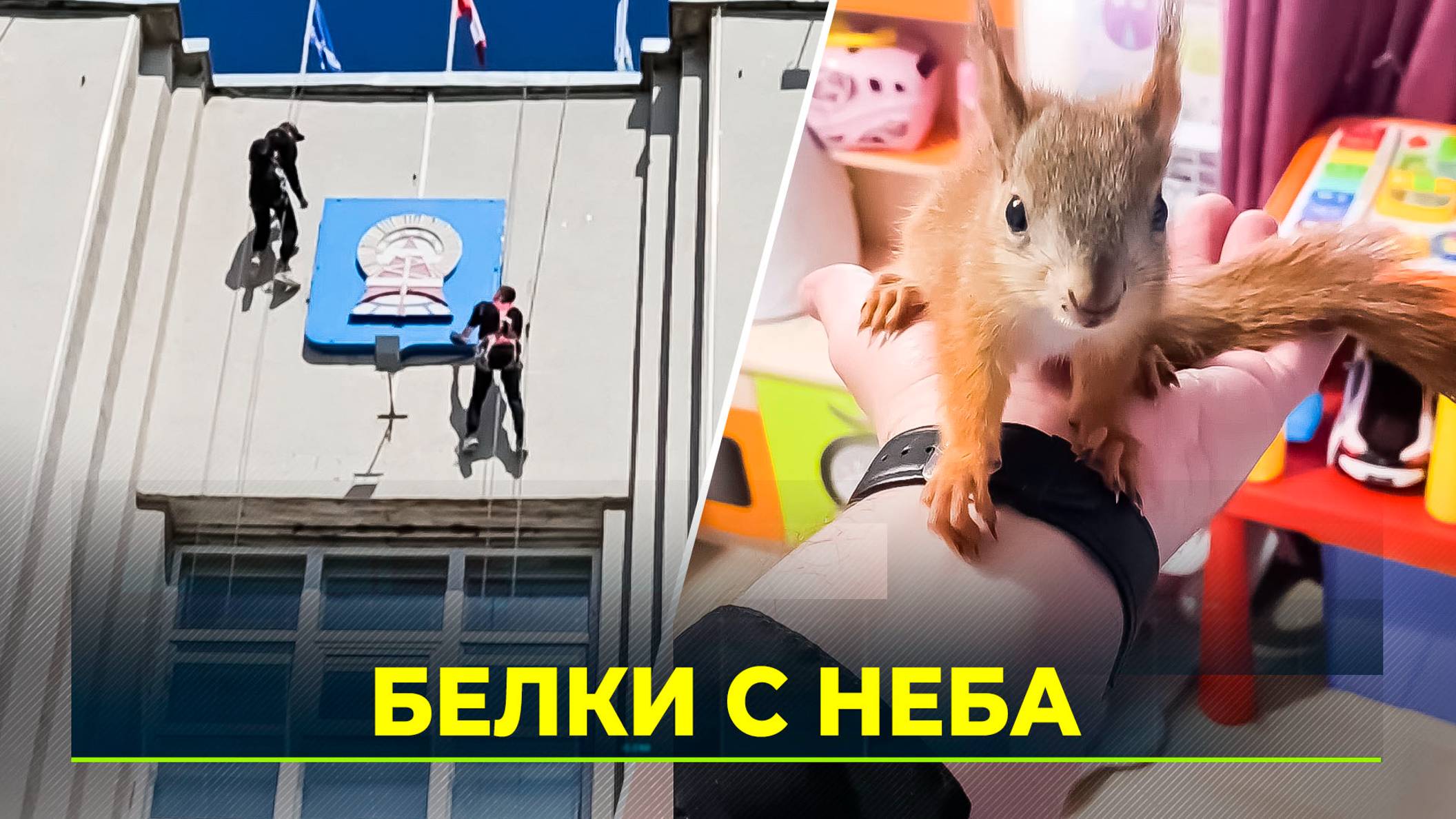 В Ноябрьске случился белкопад