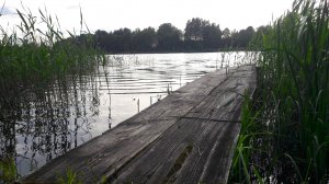 КЛЫКАСТЫЕ ЩУКИ БРАСЛАВСКИХ ОЗЕР.