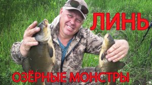 ЛИНИ МОНСТРЫ !!!!! ЛИНИ ДЕЛЬФИНЫ !!!!!