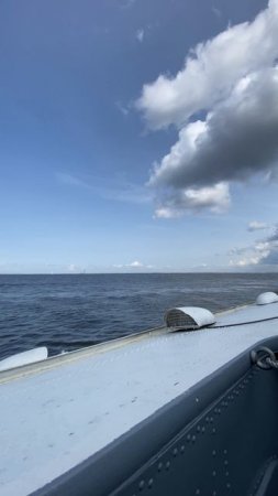Петергоф. Путешествие в нескольких частях.
Часть 17
🌳🌳🌳🌳🌳🌳🌳🌳🌳🌳🌳🌳🌳🌳🌳🌳🌳
🛥️🛟