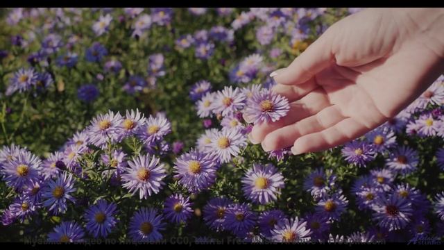 Включите и почувствуйте, как время останавливается! - How about Morse Code -- A Tape Full of Mistake