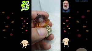 Можжевеловый грибок