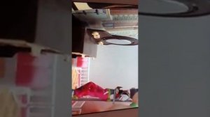 На лабутенах.кукольная версия без мата.