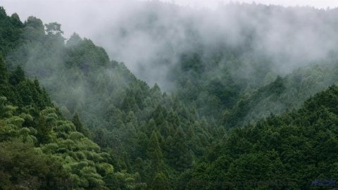 Смотреть видео онлайн