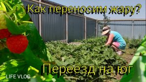 Переезд на ЮГ  🌞 Как переносим ЖАРУ?🫠