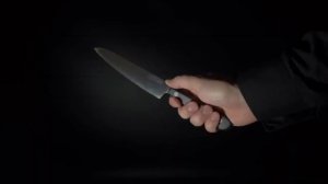 Как выбрать свой идеальный нож? #kaydzo #нож #выбратьнож