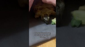 Простите за грустное видео…