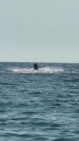 IMG_4038