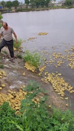 Интеллект клуб онлайн Супер Джамп Матвей Харитонов