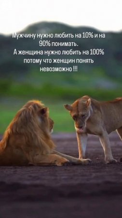Правда